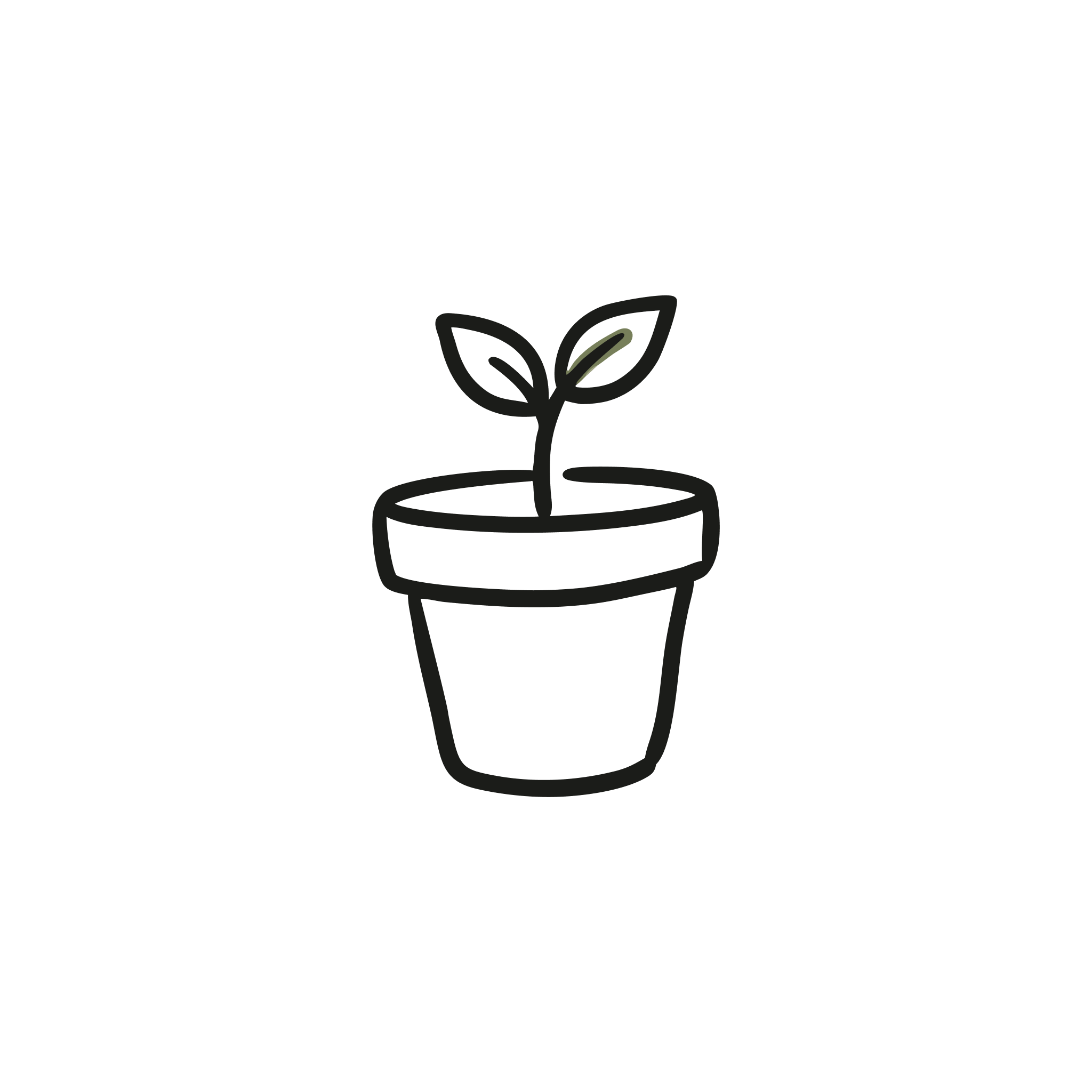 A single seedling sprouting from a small pot.